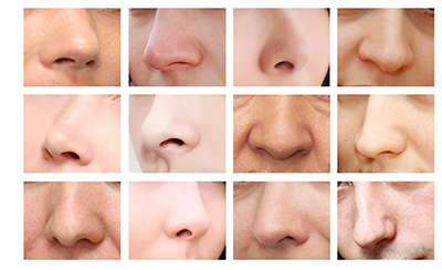 noses